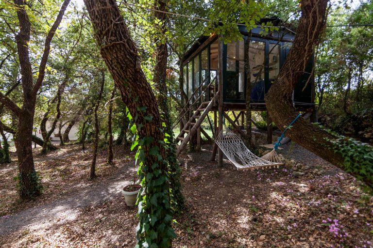 the tree house exterior day