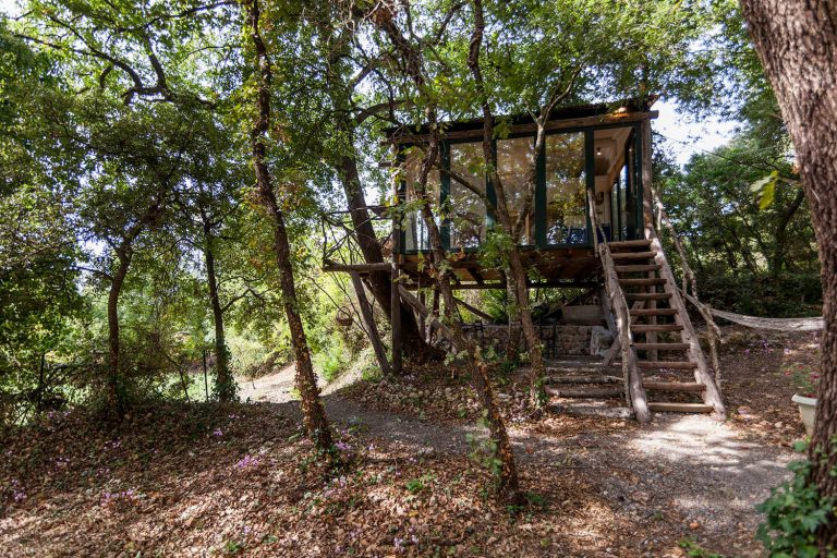 the tree house exterior day02