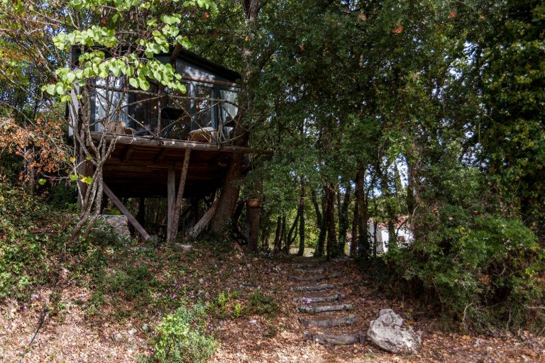 the tree house exterior day03