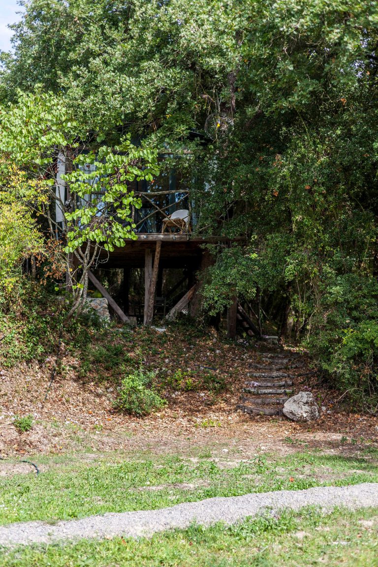 the tree house exterior day04