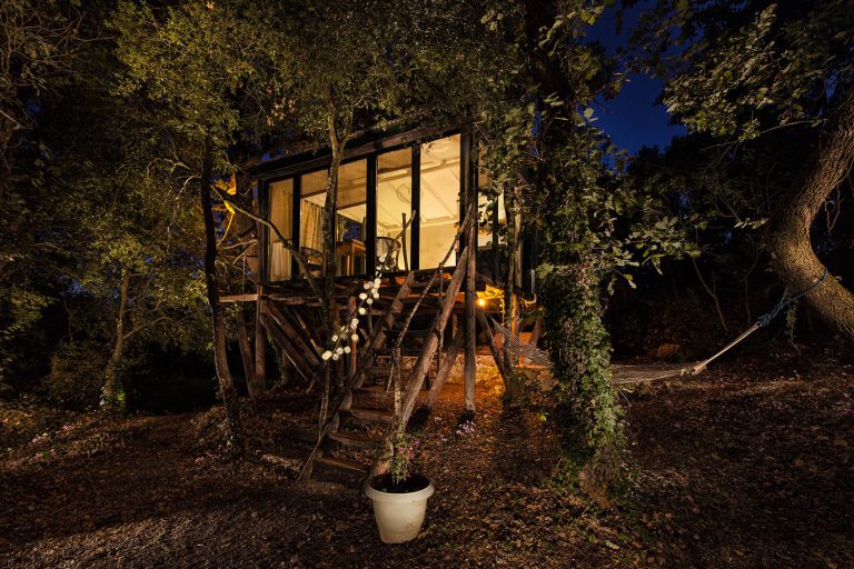 the tree house exterior night