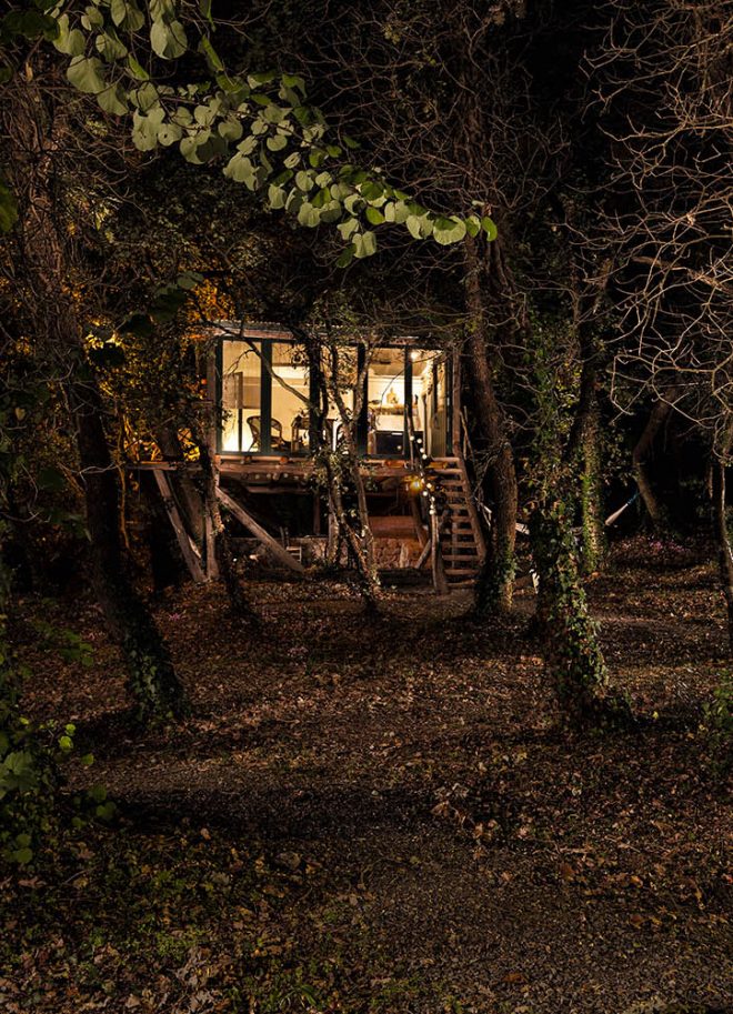 the tree house exterior night02