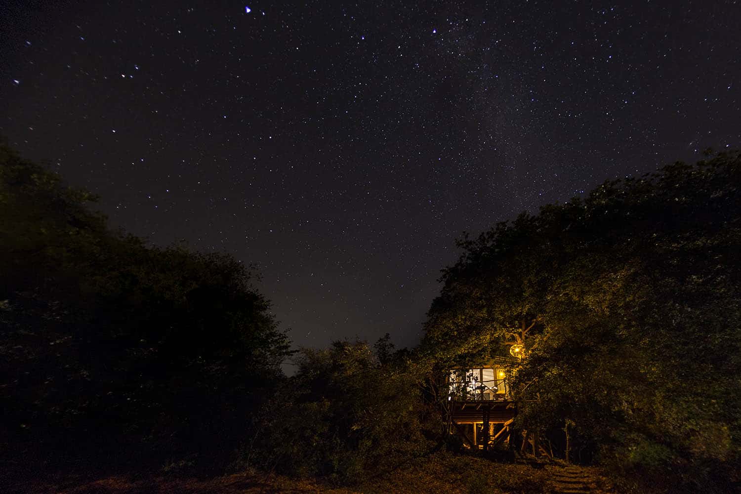 the tree house exterior night03