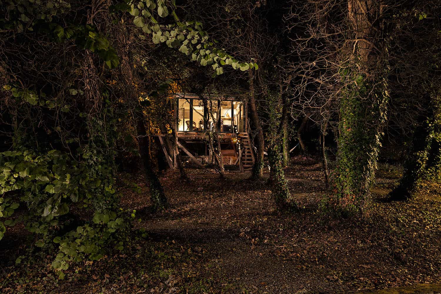 the tree house exterior night02
